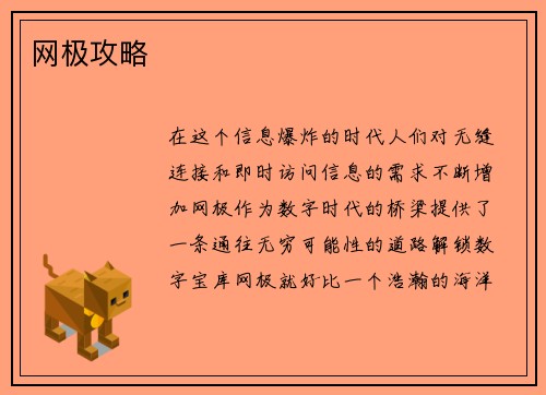 网极攻略